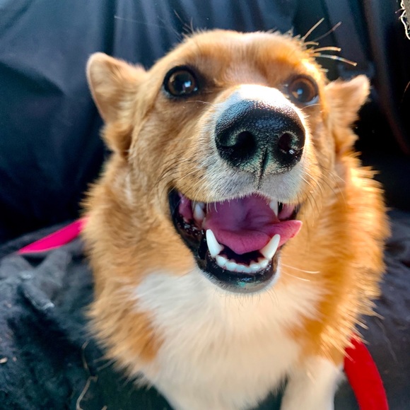 Meet your Posher, Keats - Picture 1 of 1